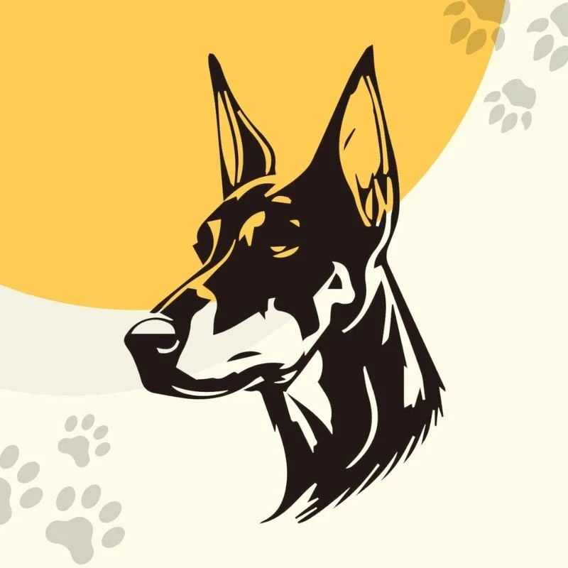Choose your customized pet pattern - Image 4